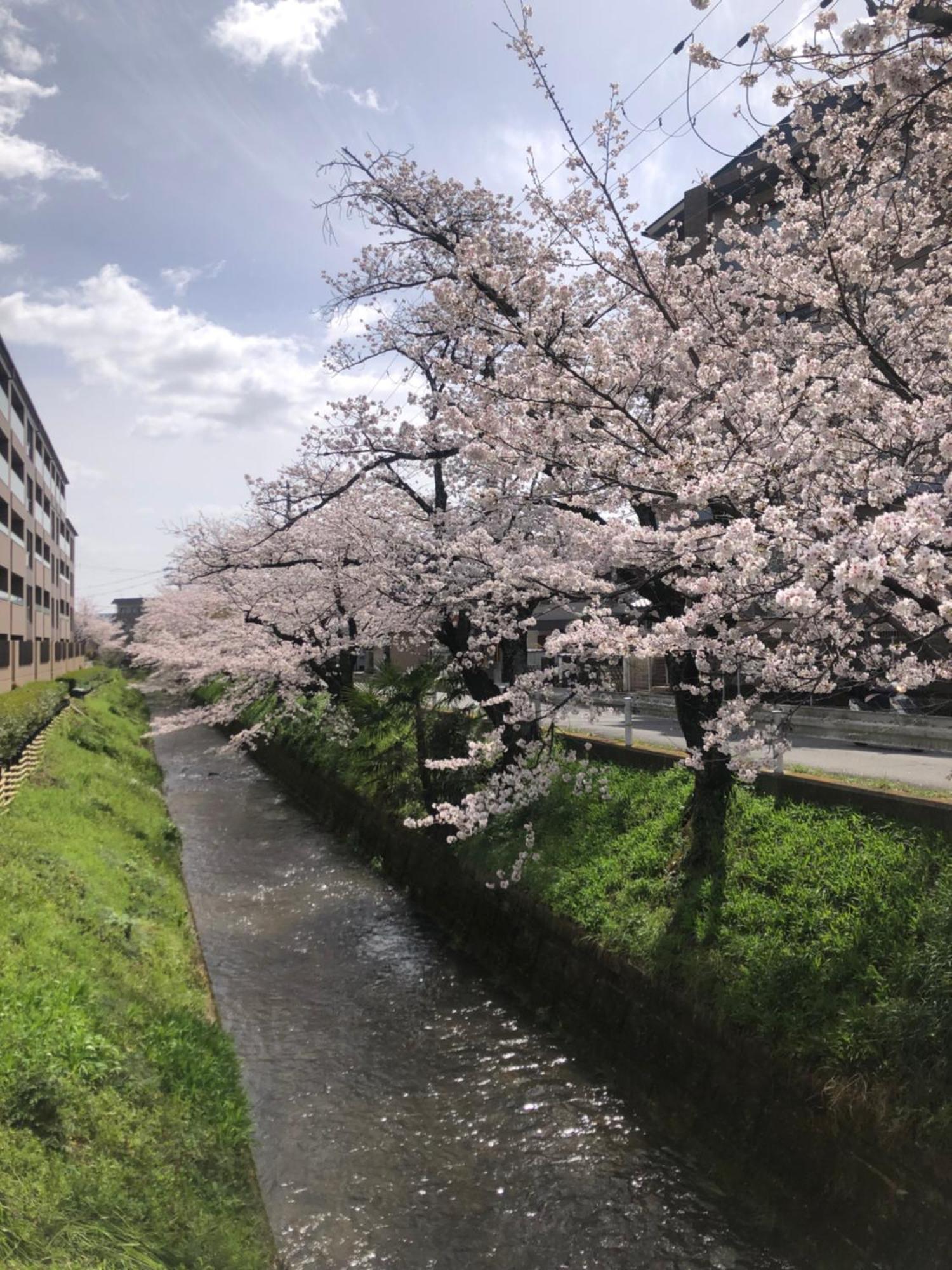 Hotel Tsubame-Ya à Kyoto Extérieur photo